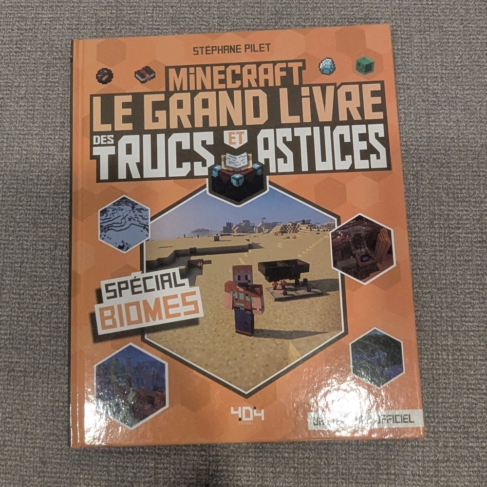 Minecraft Le Grand Livre des Trucs et Astuces Hardcover French Book